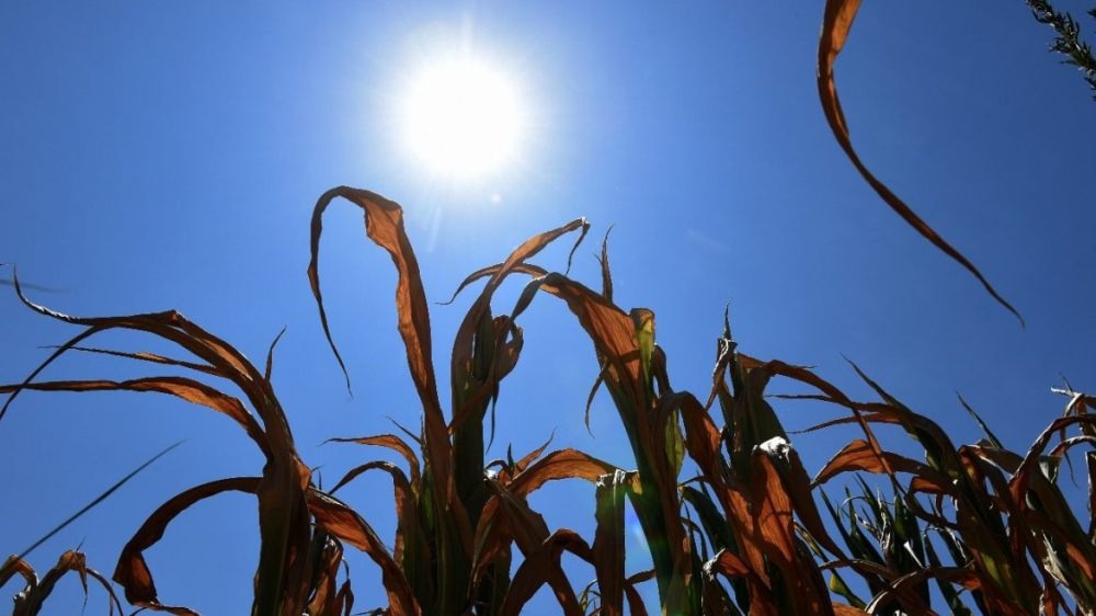 Fuerte ola de calor y sin lluvias durante toda la semana en la zona núcleo