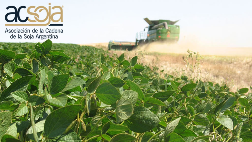 "¡Alivio para el campo! La baja de las retenciones a la soja son un respiro e impulso a la producción"