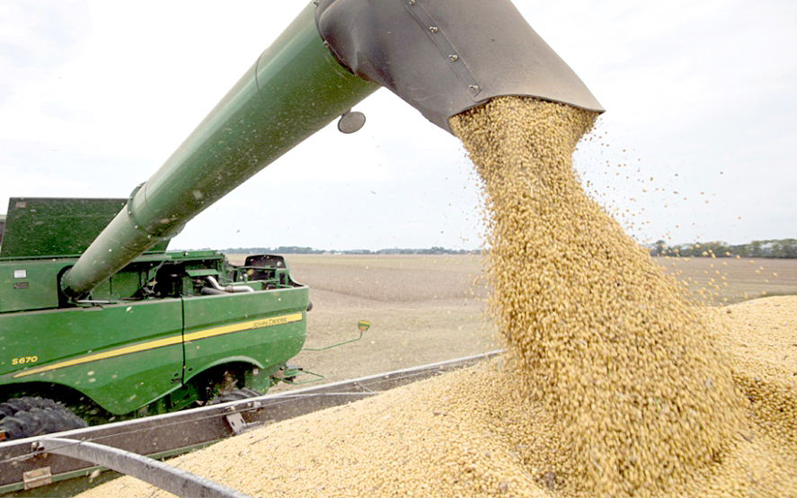 Crisis en empresas de insumos y reducción de retenciones: un combo de impactos para el agro