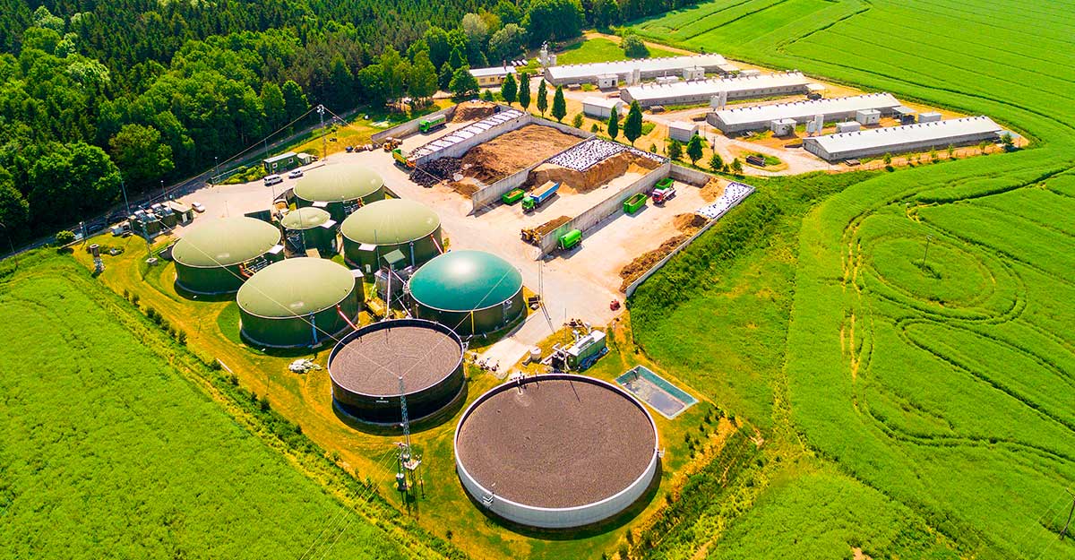 El Gobierno autoriza los primeros aumentos de 2025 en biocombustibles