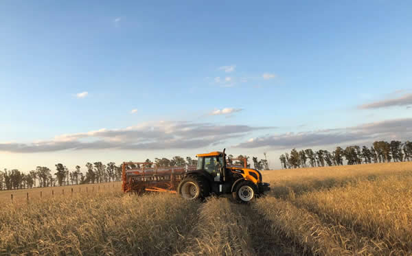 El uso de fertilizantes aumentó un 7% en 2024
