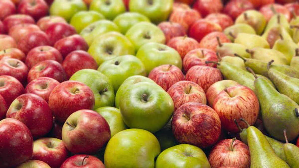 Crisis frutícola en el Alto Valle: productores en alerta por el descarte de peras y manzanas