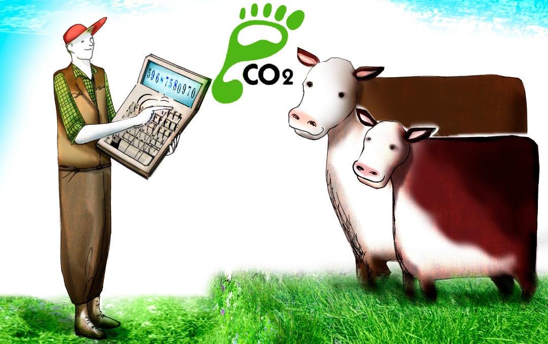Innovación: 41 campos calculan productividad y huella de carbono