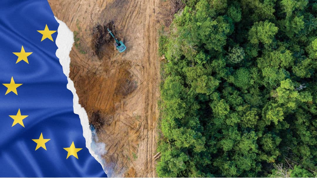 El agro argentino desafía la normativa antideforestación de la UE: "Vulnera nuestra autonomía"