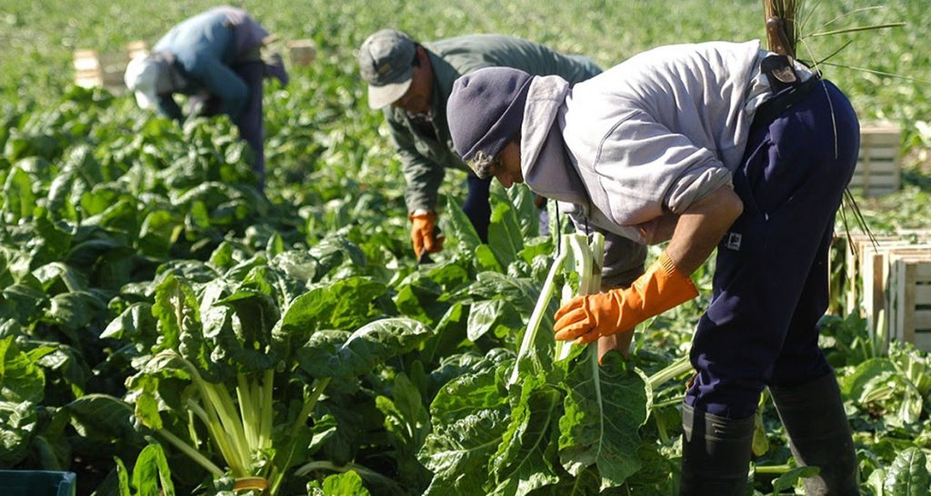 El Renatre sube otro 15% la prestación por desempleo y llegará a un tope de $ 230.000