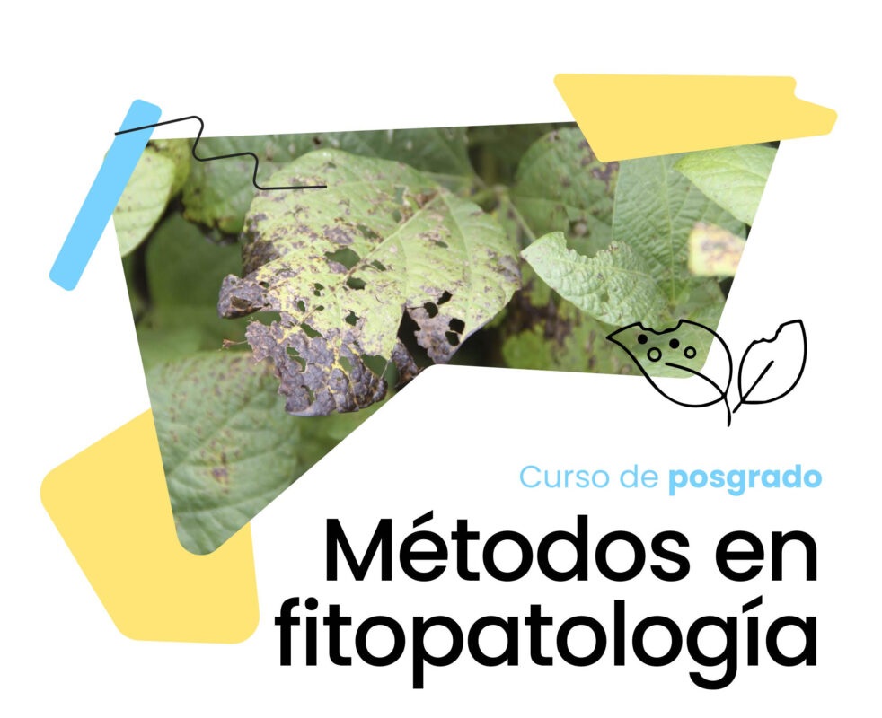 Curso de posgrado en fitopatología: Inscripciones abiertas en la FCA-UNC