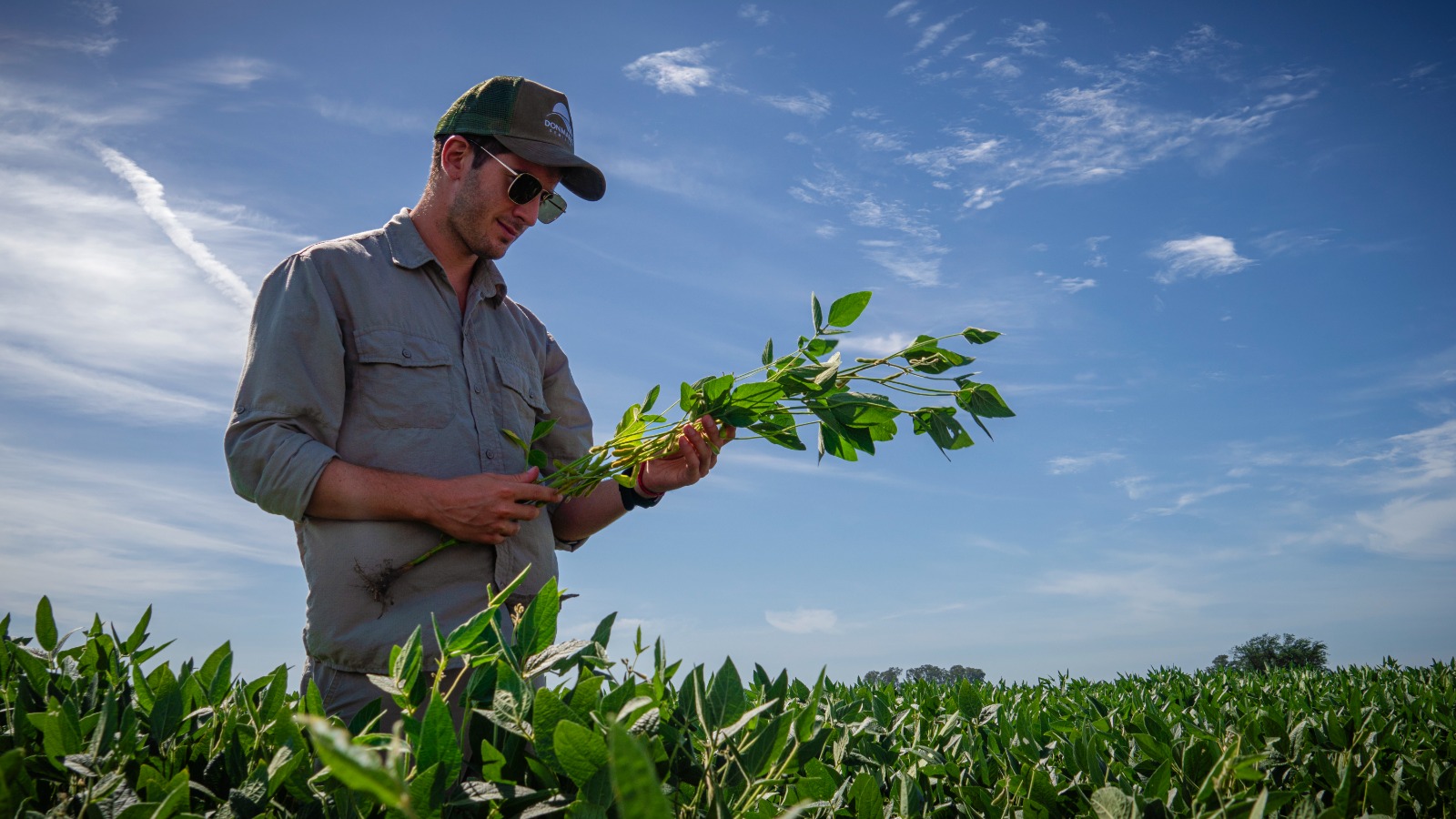 DONMARIO en Expoagro: más cerca del productor y con un ecosistema innovador