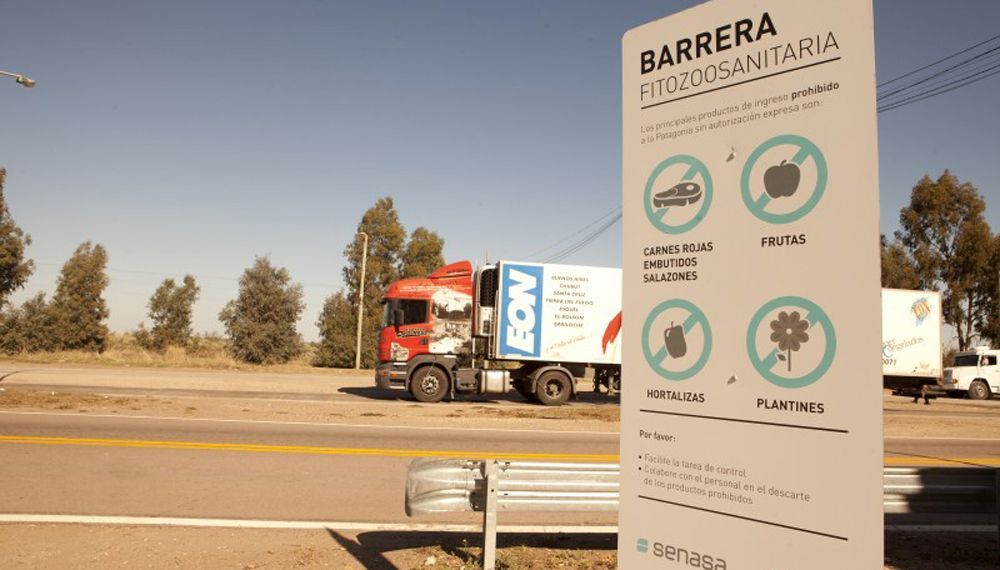 Histórico y controvertido: Senasa autoriza el ingreso de asado con hueso al sur de la barrera sanitaria patagónica