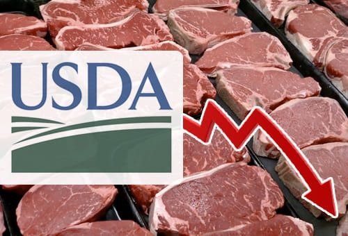 El USDA prevé una caída de las exportaciones argentinas en este año