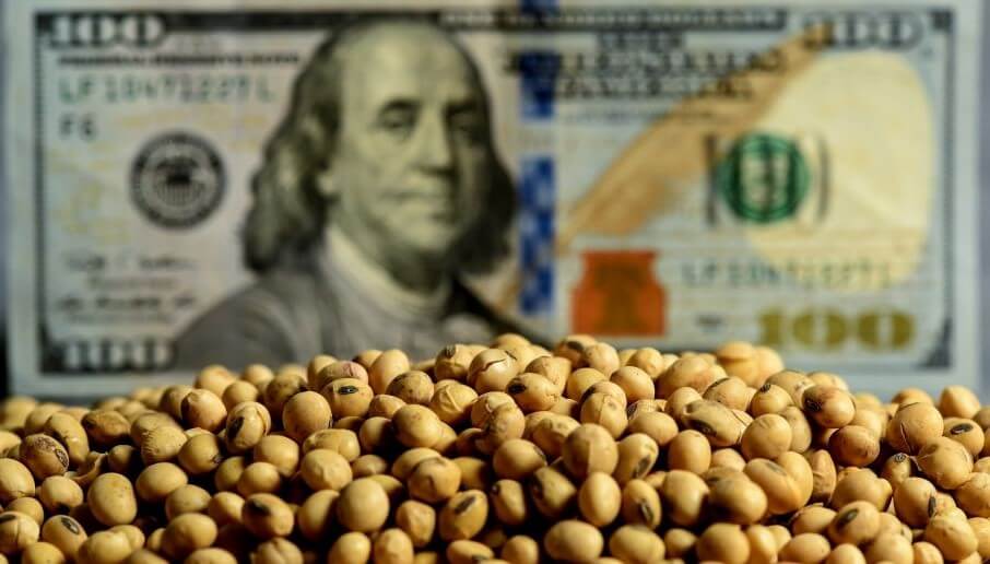 Un dato clave para Milei: el agro aportará 30.800 millones de dólares en 2025