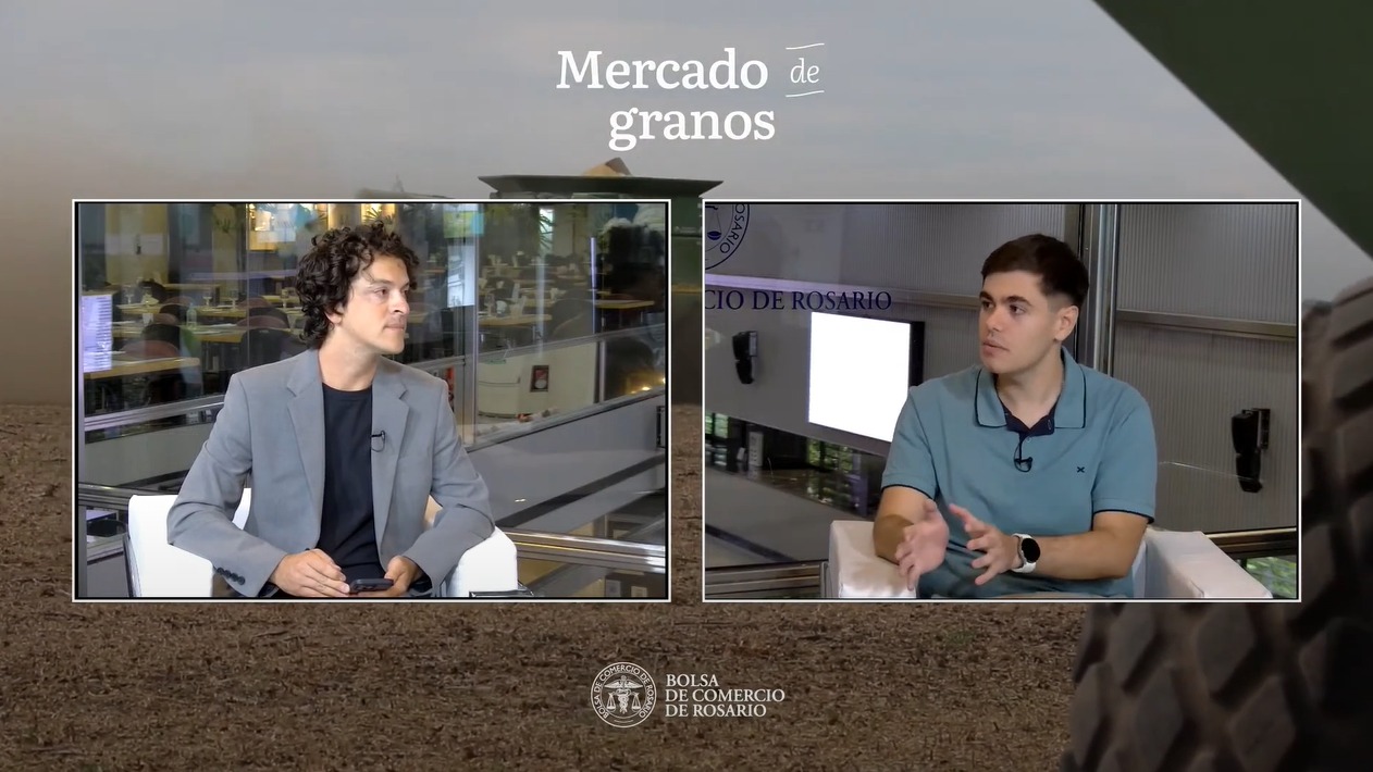 Segundo informe semanal de la BCR del mercado de granos: se destaca un ingreso récord de camiones con maíz al Gran Rosario