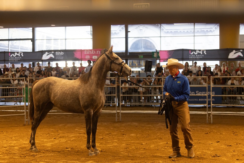 “Nuestros Caballos” celebró una edición histórica, con 1200 ejemplares y momentos únicos en La Rural