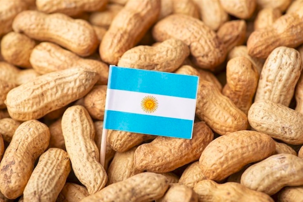 En una década, Argentina consolidó su posición como segundo exportador mundial de maní
