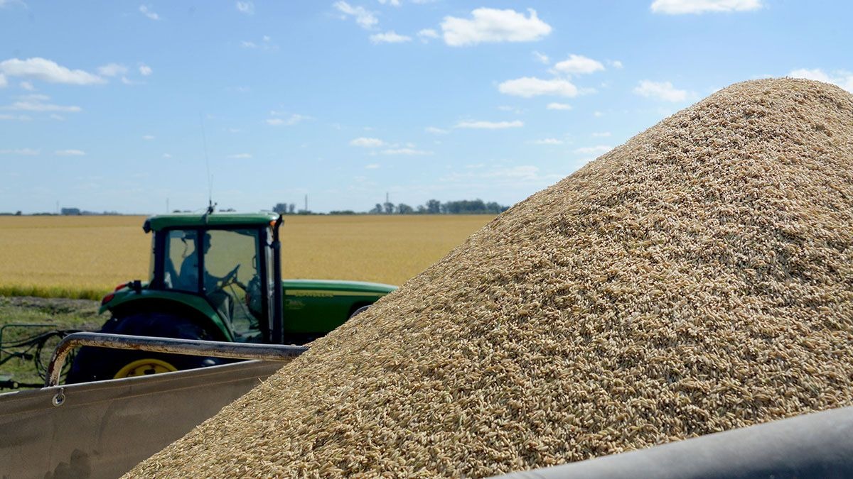 Sube un 11% el volumen de exportación de productos agroindustriales