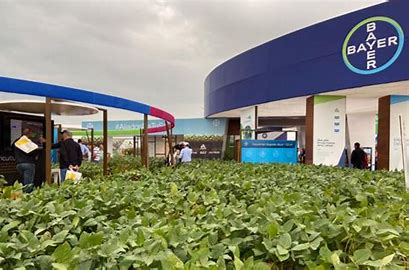 Bayer ratificó inversiones por 100 millones de dólares para potenciar la innovación, la digitalización y la sustentabilidad del agro argentino