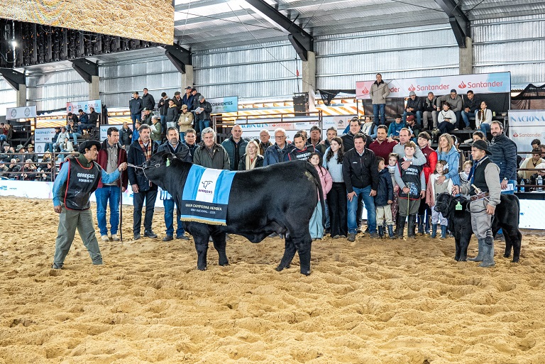 Cabaña El Porvenir de Orodá obtuvo Lote Campeón Conjunto con el Box 207 en las Nacionales en Corrientes