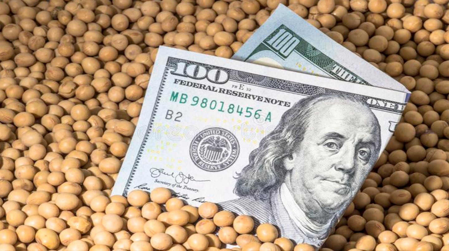 Saldo positivo para la soja en la primera semana de junio