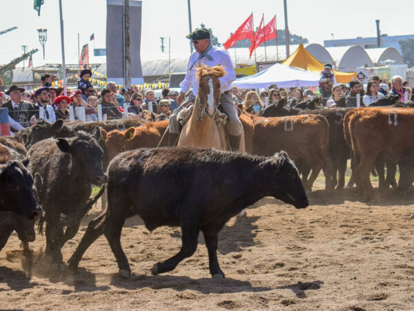 La Expo Rural de Jesús María tiene fecha confirmada del 5 al 7 de septiembre