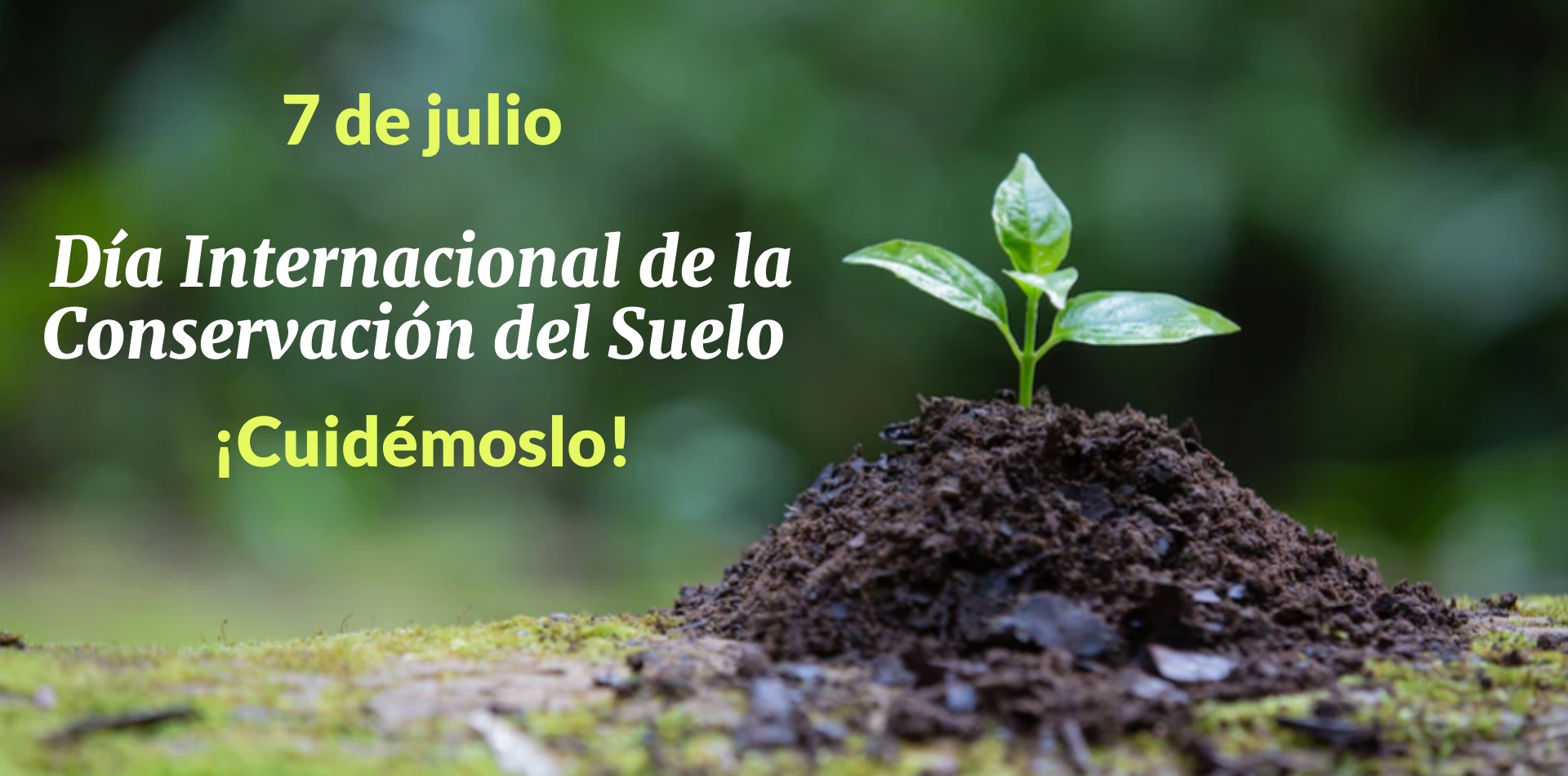 Suelos al límite: alerta roja en Santa Fe por el bajo uso de prácticas sustentables