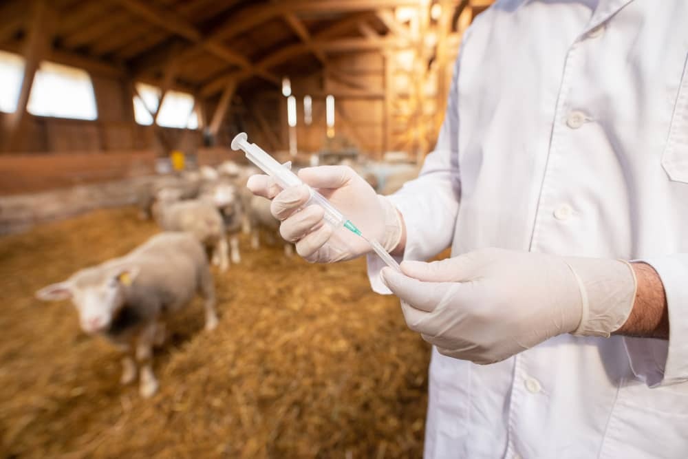 Río Cuarto será epicentro de la salud animal en Argentina: llega el 14° Congreso Nacional de Sanidad