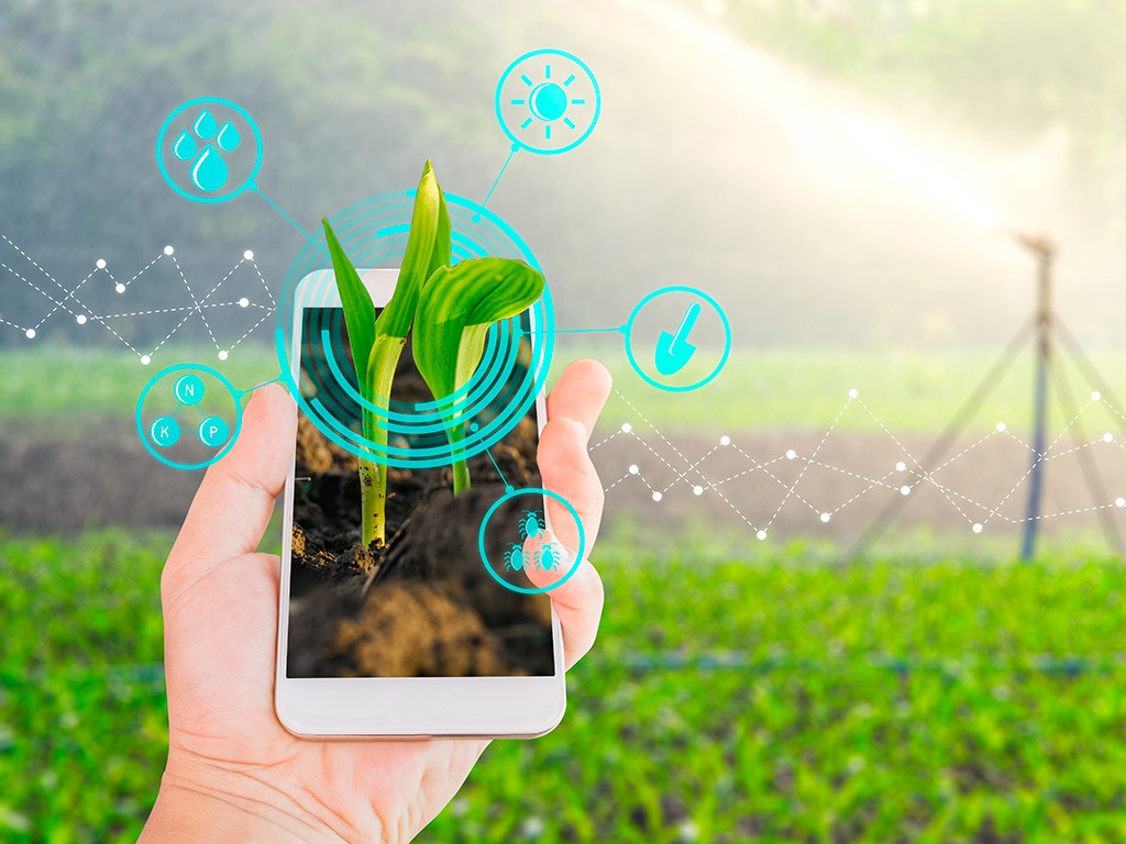 Del campo al chip: la revolución digital que transforma el agro argentino