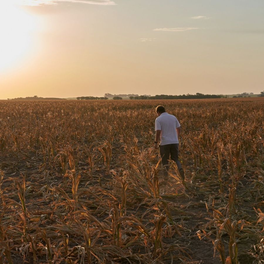 La clave de la semana: La marcha atrás de Milei con la baja de retenciones y la reacción del campo