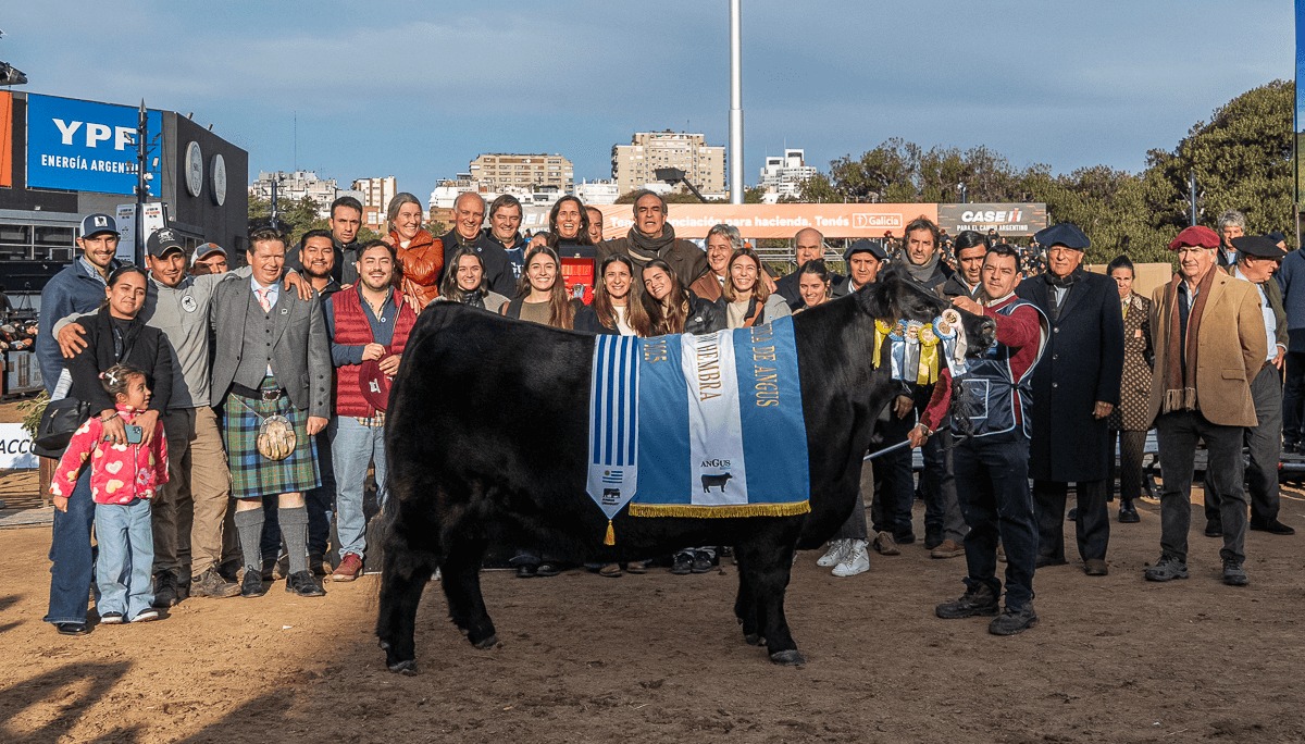 Una vaca Angus hace historia en Palermo al consagrarse bicampeona