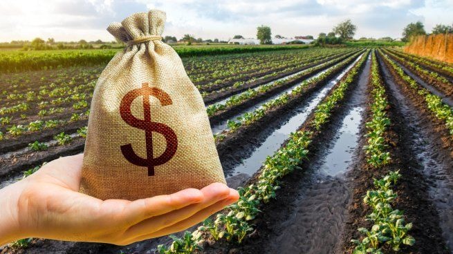 Baja de retenciones: desde el agro se alerta por una implementación que no alcanza a productores regionales y demanda calendarios más amplios
