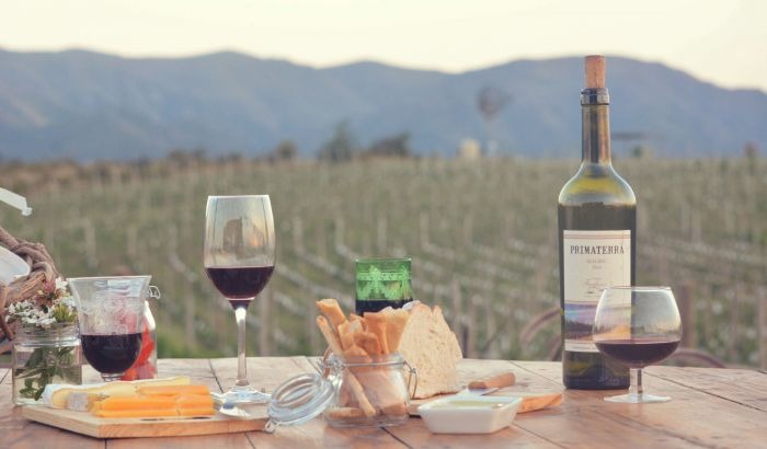 Córdoba se anima al vino con ciencia y estrategia: el enoturismo pisa fuerte