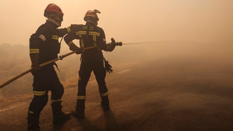 Incendios forestales arrasan Europa: más de 70 mil hectáreas consumidas en España