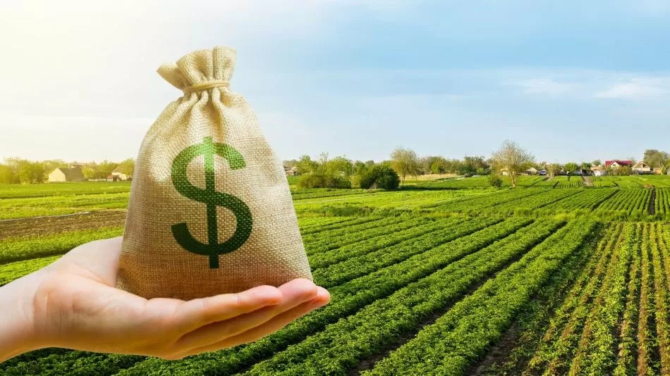 El negocio agrícola: la cosecha de trigo en el hemisferio norte presiona los precios a la baja