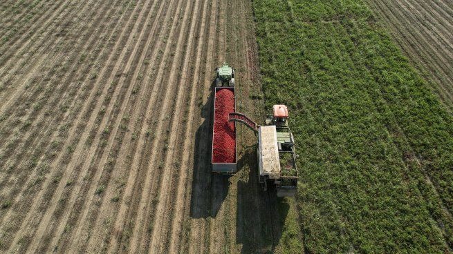 Milei suspende las retenciones al agro hasta el 31 de octubre