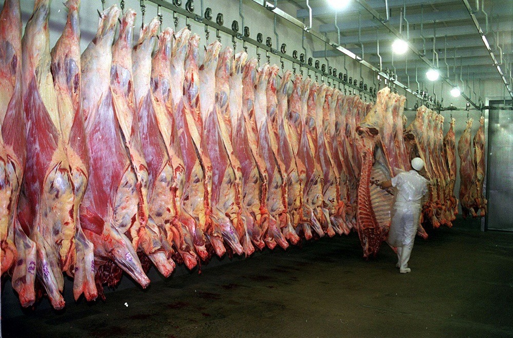Frigoríficos alertan que altos costos ponen en riesgo la quiebra de empresas de faena