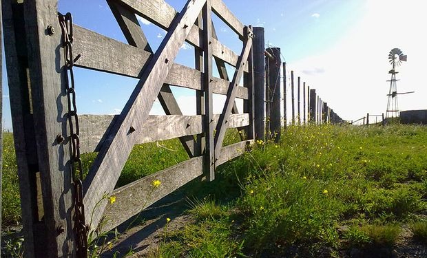 El mercado inmobiliario rural se enfría por las elecciones: cae la actividad, pero se sostienen los campos de alta calidad