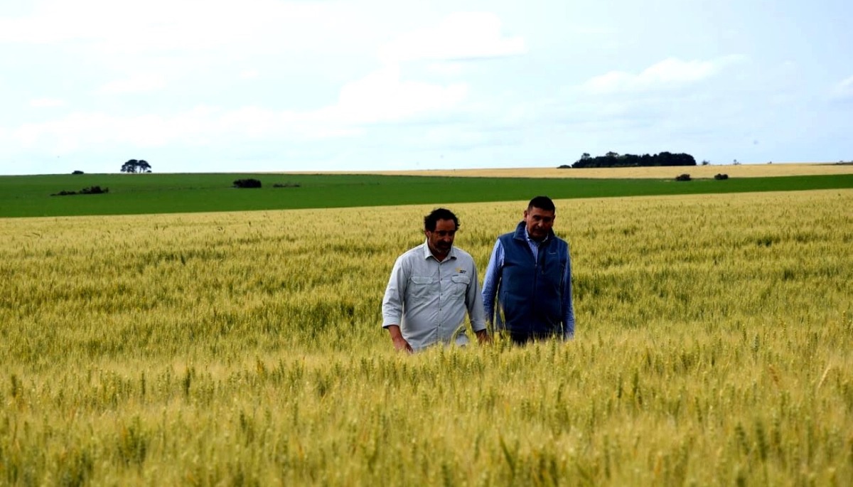 El campo de Córdoba lee las urnas: “Una renovación de confianza, no un cheque en blanco”