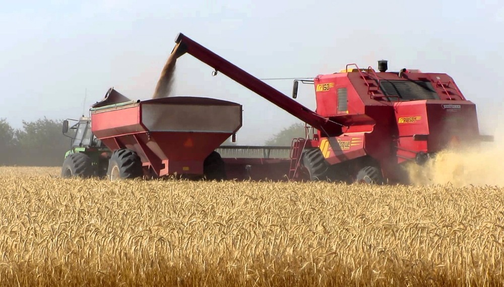 La Bolsa de Córdoba eleva su proyección de cosecha de trigo a 6,2 millones de toneladas