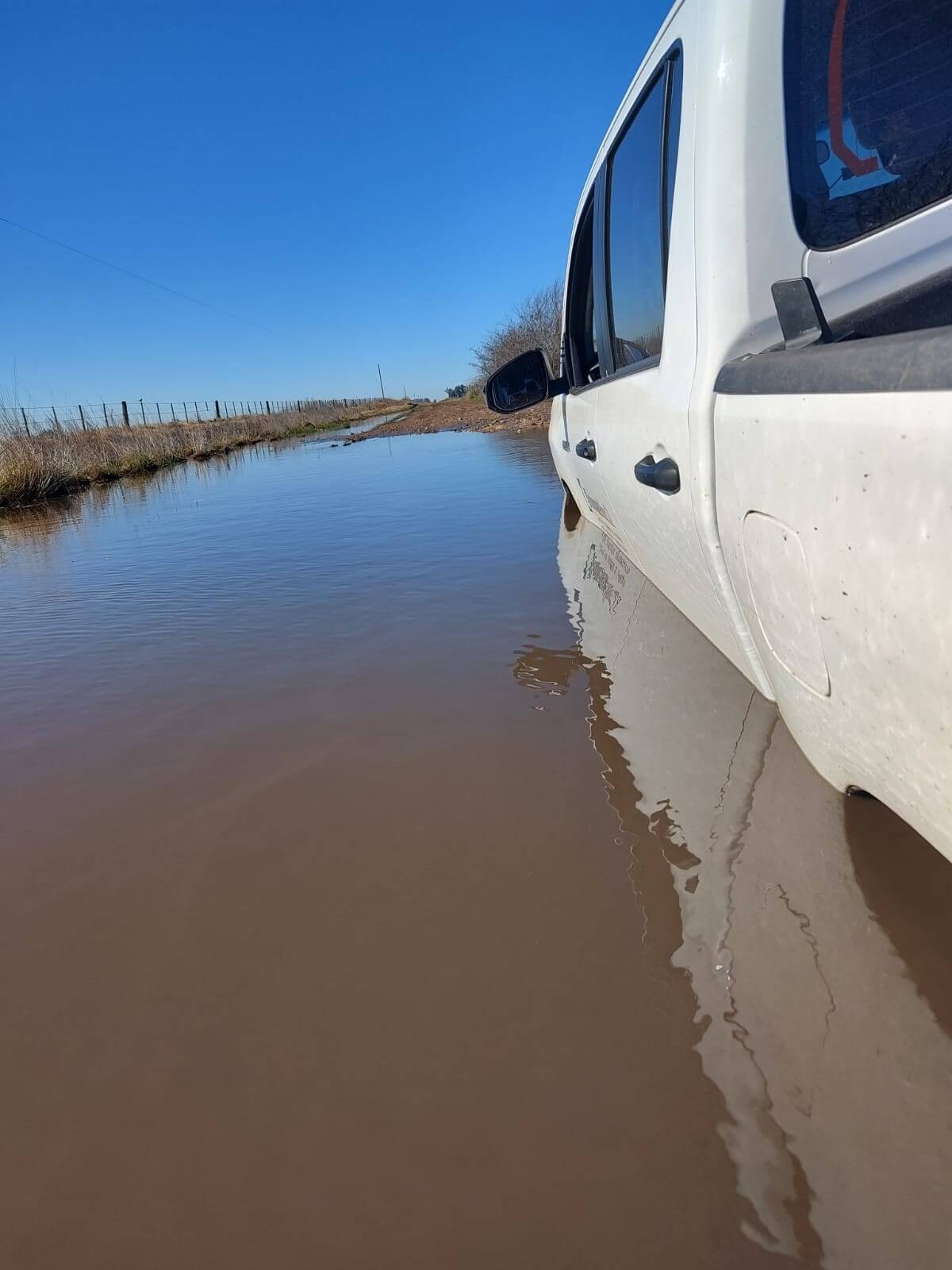 Productores Bonaerenses ensayan estrategias para dejar atrás las inundaciones