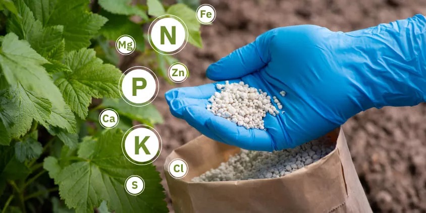 El consumo de fertilizantes en Argentina podría alcanzar niveles récord en 2025