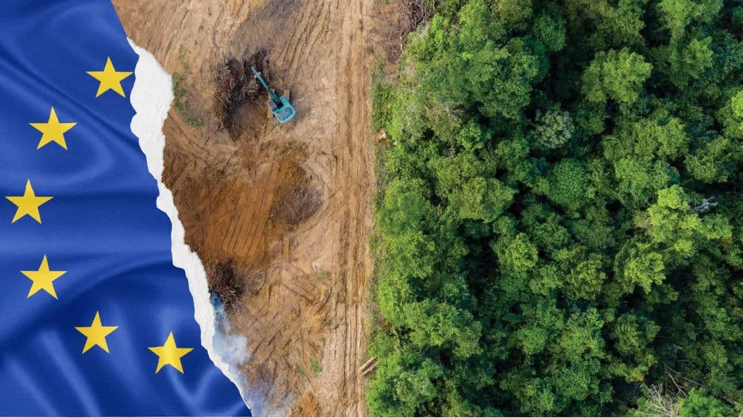 Anuario 2025: La Unión Europea otorga un año más para cumplir con la normativa ambiental sobre deforestación