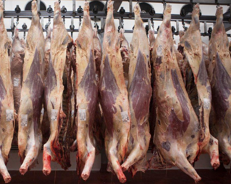 CRA rechazó la prórroga del cierre de exportaciones: “Es imposible seguir así”
