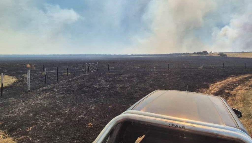 La Pampa bajo fuego: Incendios devastan más de 83.000 hectáreas