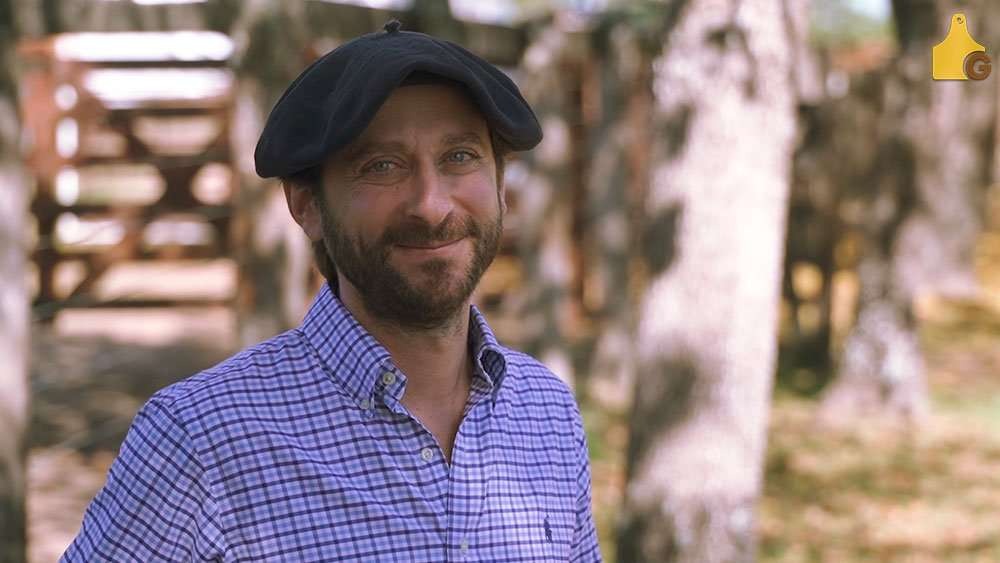 Intercambio técnico de Brangus argentino en Sudáfrica: similitudes productivas y desafío sanitario