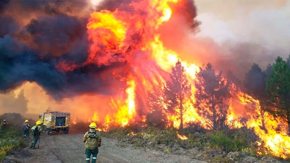 Incendios arrasan con 40.000 hectáreas en Chubut: solicitan ayuda internacional