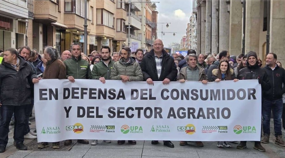 Gremio agrario español anticipa una aprobación provisional del acuerdo entre la Unión Europea y el Mercosur