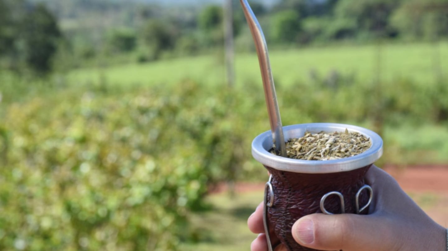 La yerba mate cierra 2025 con crecimiento del 7,3% y récord en exportaciones