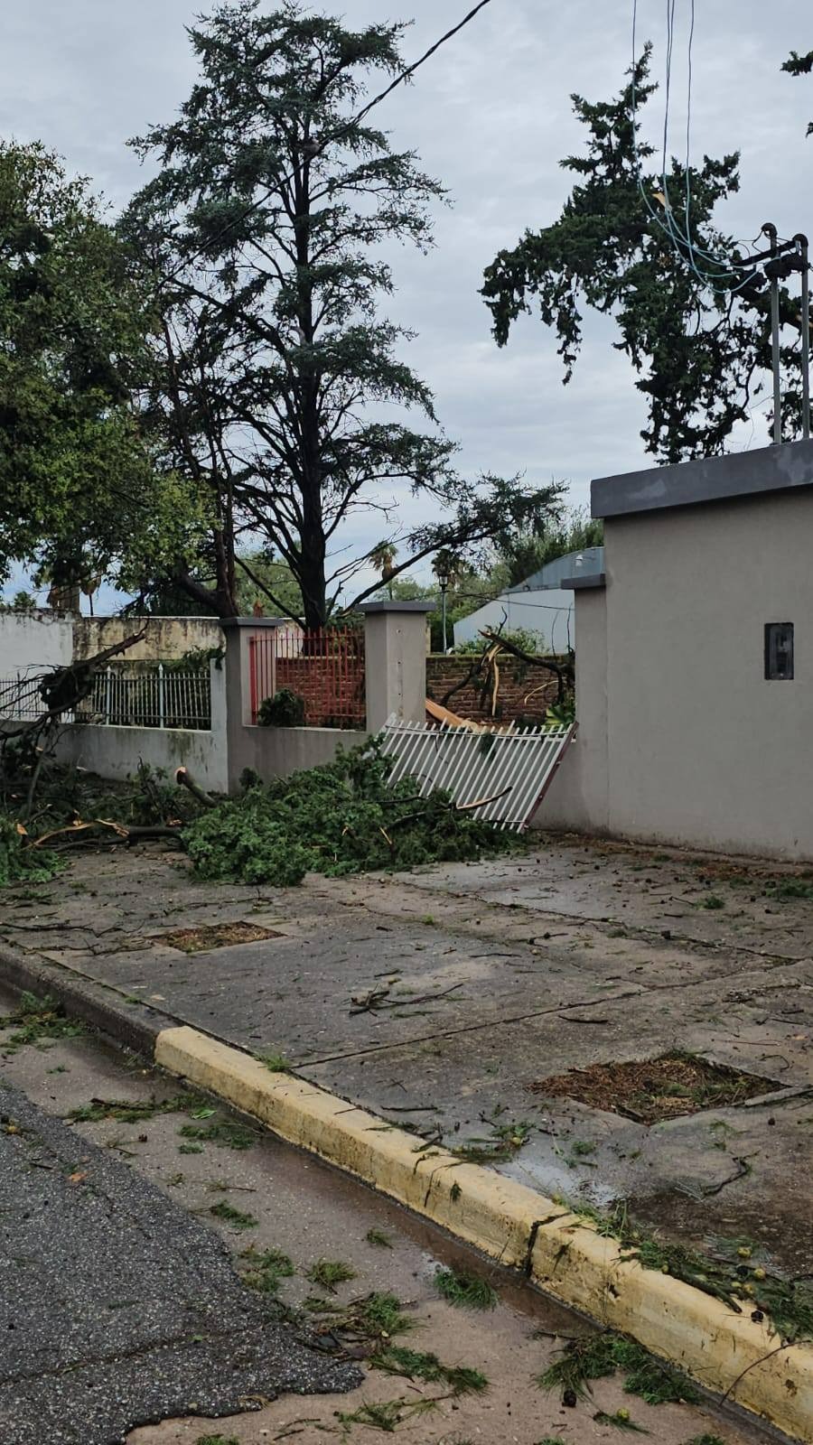Piden la emergencia agropecuaria en el sudeste de Córdoba tras las lluvias y la pedrea que arrasó todo