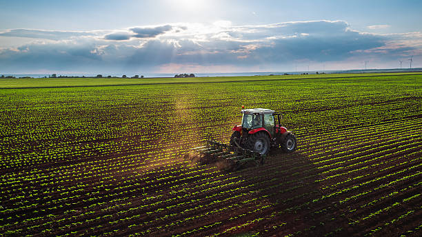 La economía argentina creció 4,4% en 2025 impulsada por el sector agropecuario