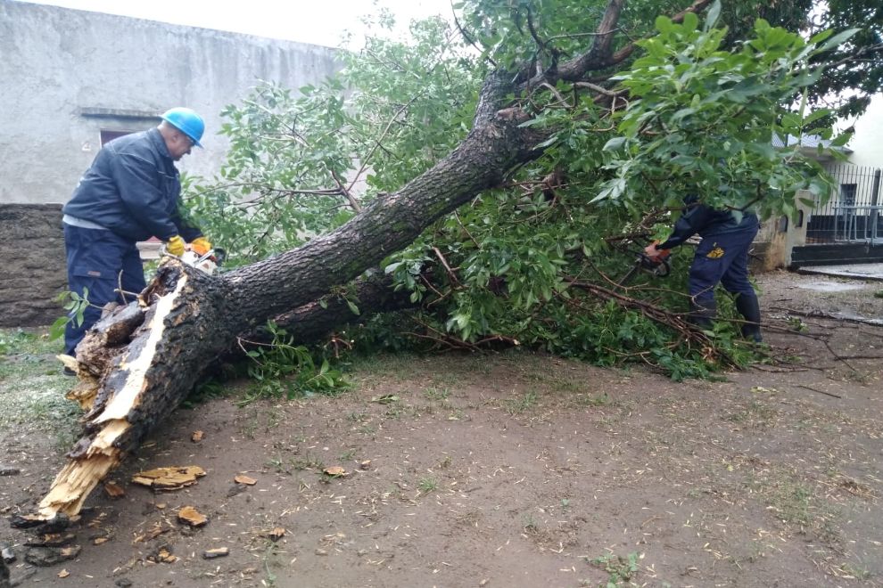 La Provincia acompaña a municipios y comunas afectados por el temporal en el sur y sudeste cordobés