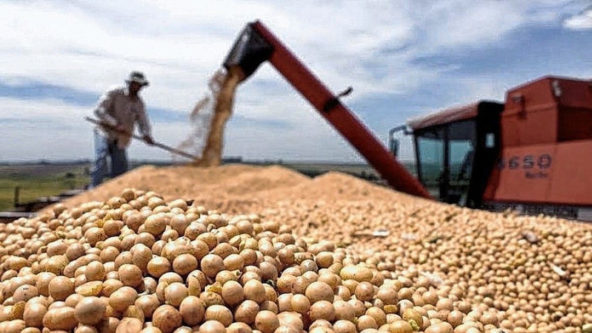 La soja lidera las exportaciones argentinas, superando al petróleo y la industria automotriz