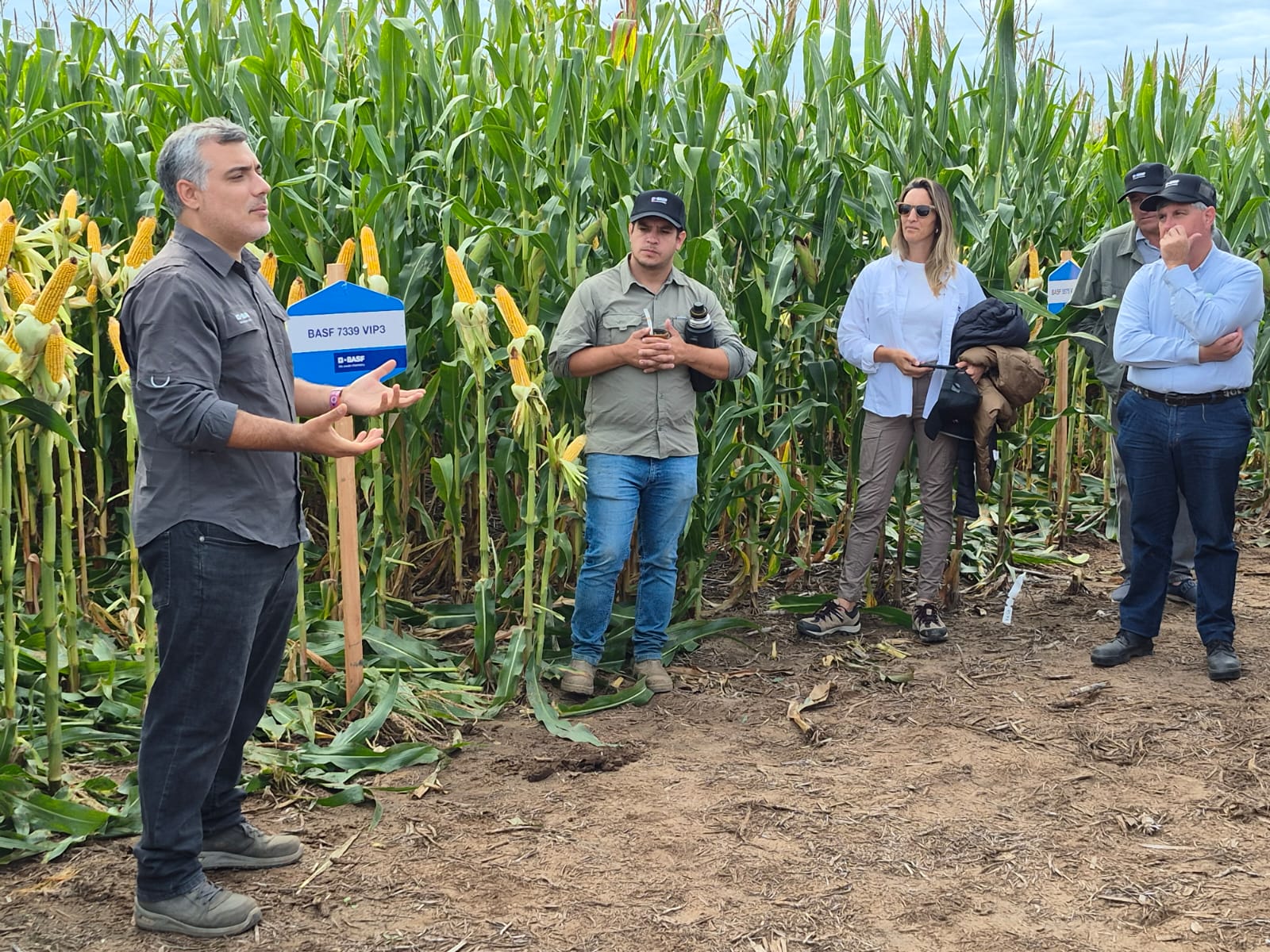 BASF realizó su Día de Campo con fuertes anuncios en semillas, herbicidas y agricultura digital